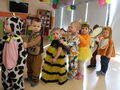 IMG 6738