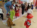 IMG 6743