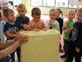 IMG 5076