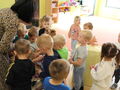 IMG 5087