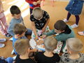 IMG 5147