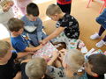 IMG 5150