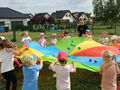 IMG 7486