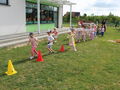 IMG 7517