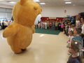 IMG 5674