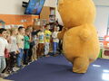 IMG 5687