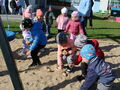 IMG 5245