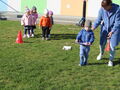 IMG 5251