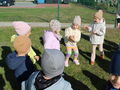 IMG 5254