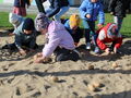 IMG 5261