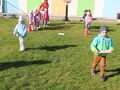 IMG 5280
