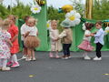 IMG 7824