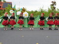 IMG 7910
