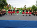 IMG 7919
