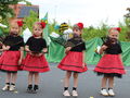 IMG 7921