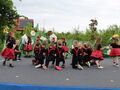 IMG 7934