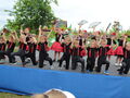 IMG 7951