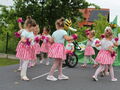 IMG 7979