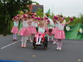 IMG 7996