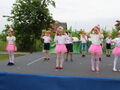 IMG 8015