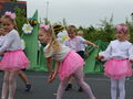 IMG 8033