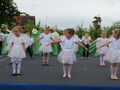 IMG 8054