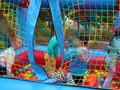 IMG 8217