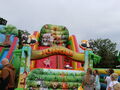 IMG 8221