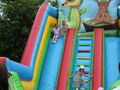 IMG 8223