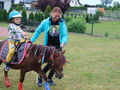 IMG 8239