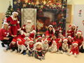 IMG 5886
