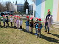 IMG 7059