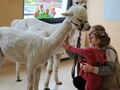 IMG 7288