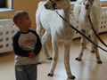 IMG 7289