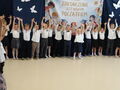 IMG 1991