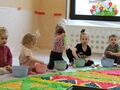 IMG 7156
