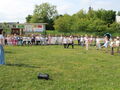 IMG 7363 001