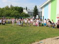 IMG 7366 001