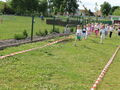 IMG 7379