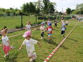 IMG 7428