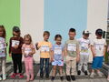 IMG 7451