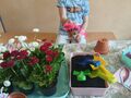WhatsApp Image 2025 04 17 at 13.18.09 4