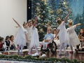 IMG 9984