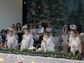 IMG 9991
