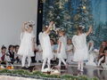 IMG 9994
