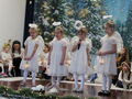 IMG 9995