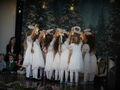 IMG 9791