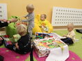 IMG 8771