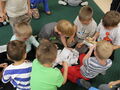 IMG 8839