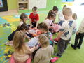 IMG 0557